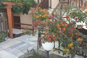 Stavros House, Сарти