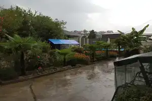 Династия, Вардане