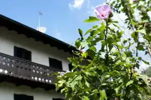 Casa Elisabetta, Пьеве-ди-Ледро
