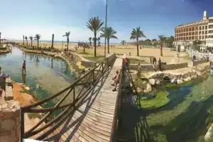 Roulette Oferta Dorada Medsur 4, Кома-Руга