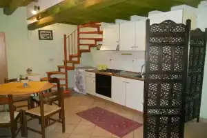 Il Nido Sotto Il Tetto, Шикли