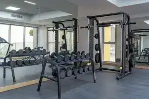 Millennium Montrose Hotel Apartment, Дубай