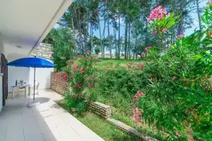 Apartments Pino Rabac, Рабац