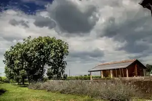 Bed & Breakfast Casale dei Noci, Реджо-Эмилия