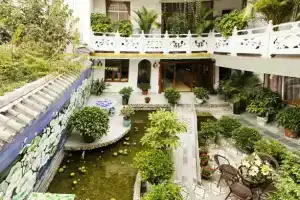 Blue Bird Nest Guest House, Дали