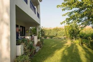 Eressos Ilios apartments, Скала-Эресу