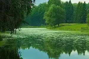 Детский лагерь «Родник», Литвиново