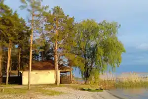 Муранский бор