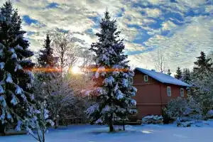 База отдыха «Сабо» в Лужском районе