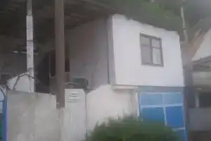 Золотая пальма, Лоо
