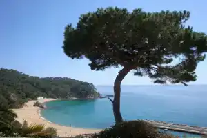 107523 - House in Cala Canyelles, Льорет де Мар