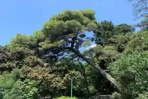 Гостиница «Мисхорский парк», Мисхор