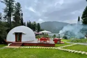 Шале Алтай Форест Глэмп, Артыбаш
