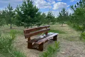 База отдыха «Старица», Красный Яр