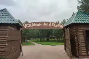 Усадьба на Лесной, Тирлянский