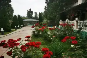 Президент, Махачкала