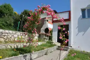 Studio apartment Bela - sea view: Sa3 Lopar, Island Rab, Лопар