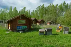 База отдыха «Белая лошадь» в Киреевском районе