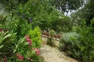 Villa Demirci 5, Согучак