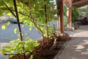 Гостиница «Ариан», Волгоград