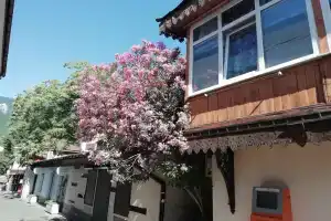 Домик у олеандра, Гурзуф