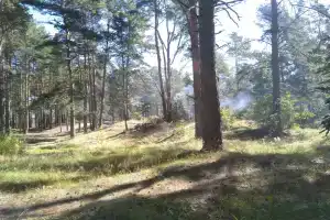 Лемболовская, Васкелово