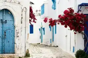 Cosy S3 At Sidi Bou Said Village, Сиди-бу-Саид