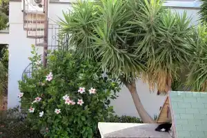 Casa Floriana A San Leone, Сан Леоне