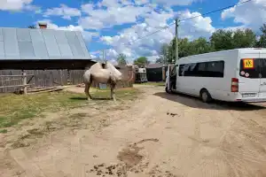 Гостиница «Гостецкий двор», Покров