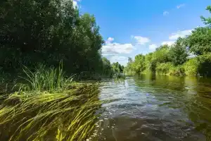 База отдыха «Трехречье», Ленинская Слобода