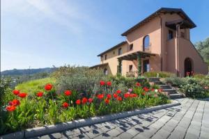 Podere Raffanna Ecologic House, Масса
