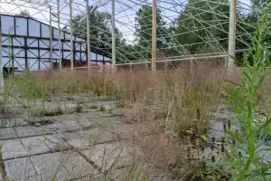 Золотое Озеро
