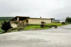 Bacco a Petroio, Эмполи