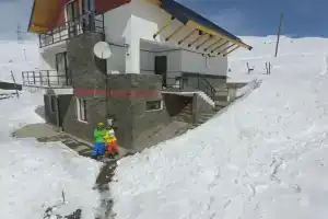 Mountain Cricket Chalets and Apartments, Гудаури