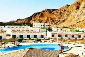 Amego Dahab, Дахаб