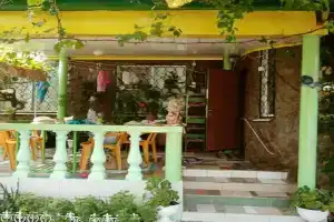 На берегу, Алексино