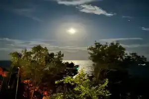 Гостевой дом «Selam», Симеиз