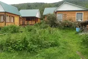 Усадьба Мироновых, Топольное