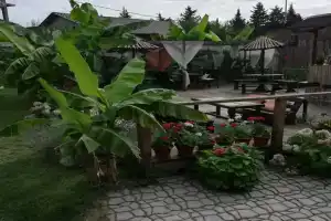Дом Шале Оазис, Пицунда