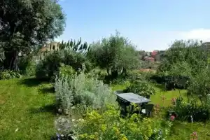 Agriturismo Ca' dei Conti, Сан-Бартоломео-аль-Маре