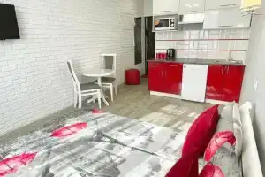 Apartment Studio Paris 2, Ирпень