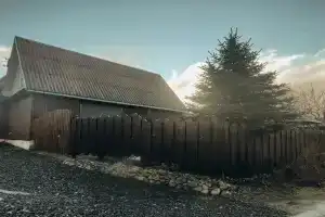 Дрозды, Струсто