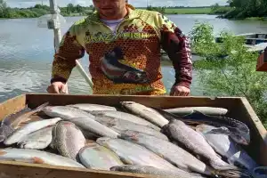База отдыха Ба-Рыбина, Барыбино
