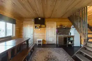 Бурый Лис