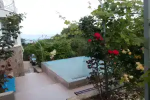 Кипарисное, Кипарисное
