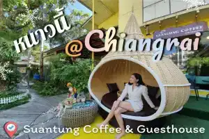 Suan Tung Coffee, Чианграй