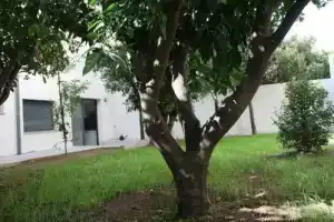 Residencia Mayol - Adults Only, Пальма-де-Майорка