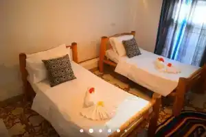 Zh Backpackers, Бубубу