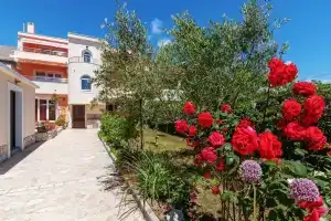 Villa Jadranka Privlaka, Привлака