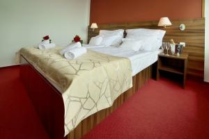 Hotel Palcát Congress & Wellness Hotel, Табор
